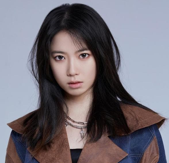 Nie Xiying